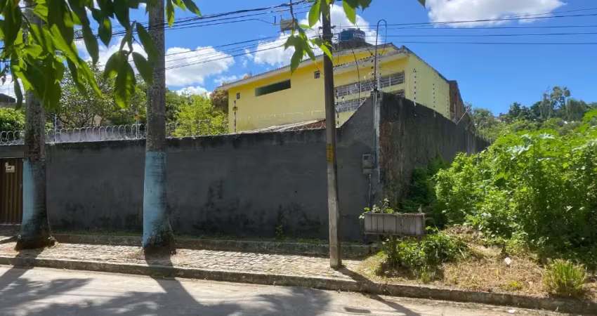 Casa com 4 quartos à venda na Rua Dolores Salgado, 126, Apipucos, Recife