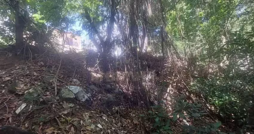 Terreno em padre belizario, campo gramderj - 9x25m²