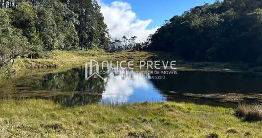 Chácara / sítio à venda no Centro, São Bonifácio 