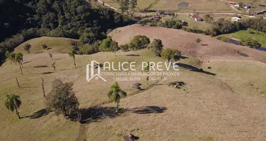 Lindo terreno com nascentes e rio no bairro rio ferro, são bonifácio/sc
