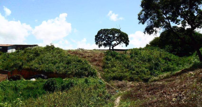 Terreno à venda, 6.600 m² por R$ 1.200.000 - Vila Torres Galvão - Paulista/PE