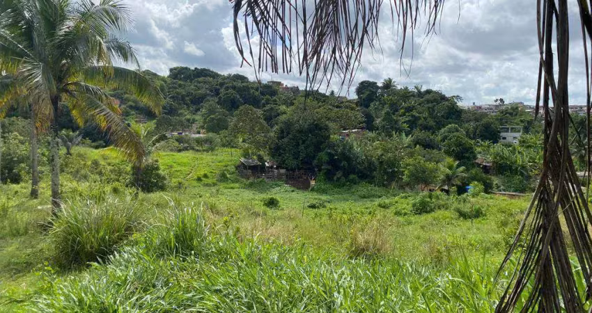 Terreno à venda, 20000 m² por r$ 2.900.000,00 - jardim primavera - camaragibe/pe