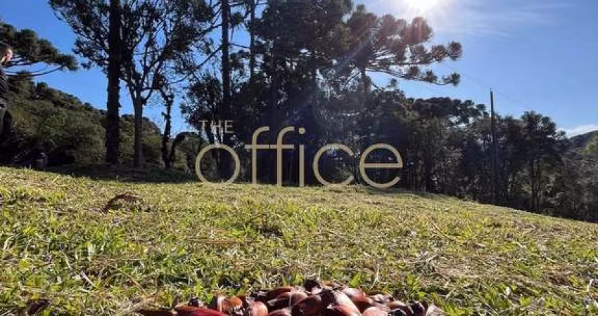 Terreno à venda em Campo Alegre-SC, 19.991,66 m². A oportunidade que você esperava!