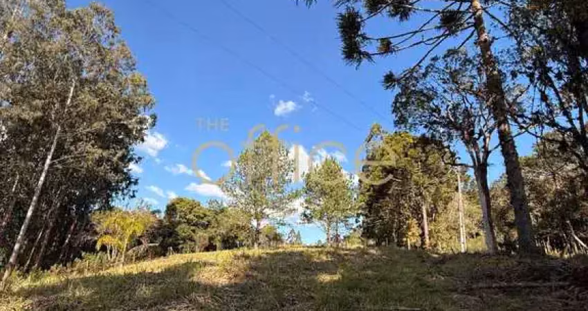 Terreno à venda em campo alegre-sc, 19.991,66 m². a oportunidade que você esperava!