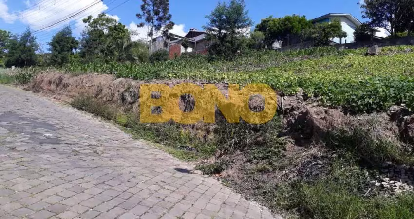 Terreno à venda no Desvio Rizzo, Caxias do Sul 
