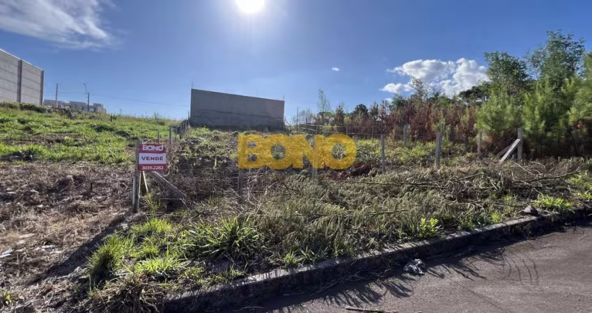 Terreno à venda no São Victor COHAB, Caxias do Sul 