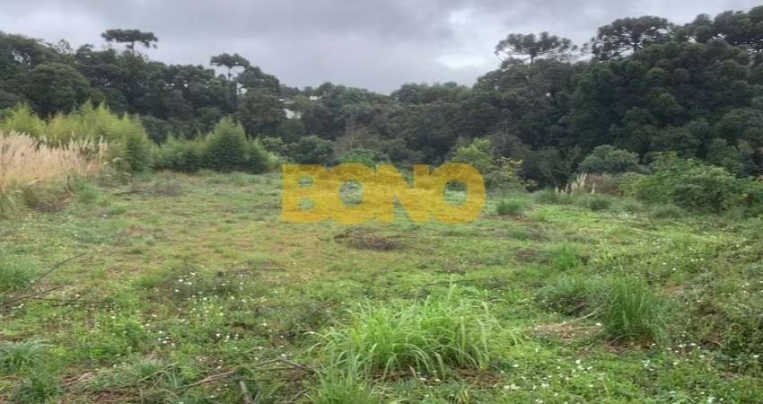 Terreno comercial para alugar no Interlagos, Caxias do Sul 