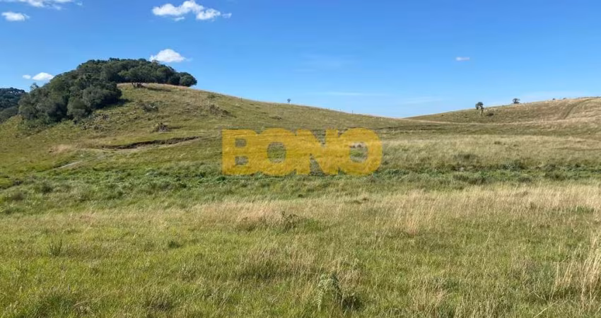 Chácara / sítio à venda na Zona Rural, Caxias do Sul 