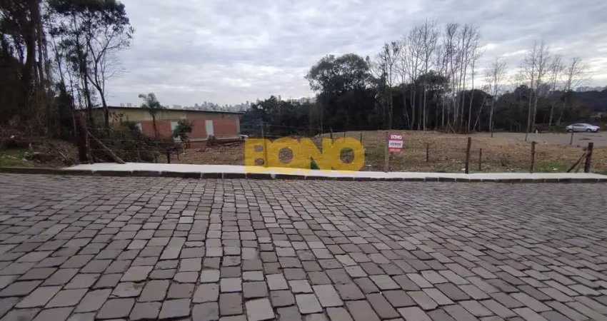 Terreno à venda no Salgado Filho, Caxias do Sul 