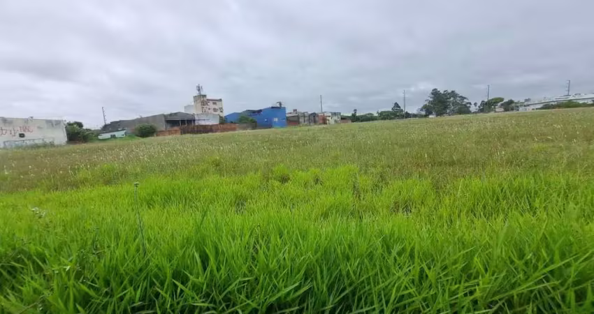 Terreno à venda na Avenida Assis Brasil, 8085, Sarandi, Porto Alegre