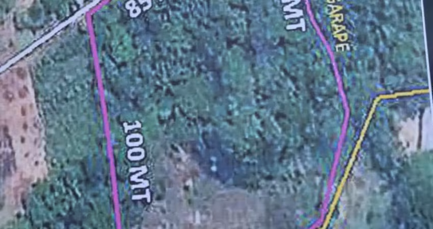 Terreno/ lote com igarapé no ramal da cachoeira do castanho – iranduba-am | 7.425m²