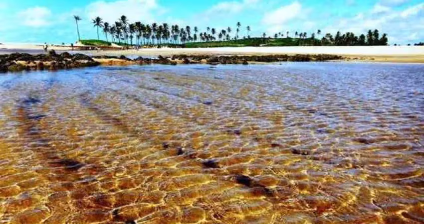 Terreno para vender, linda vista do mar, na praia de Jacumã, Barra de Maxaranguape, com área de 490