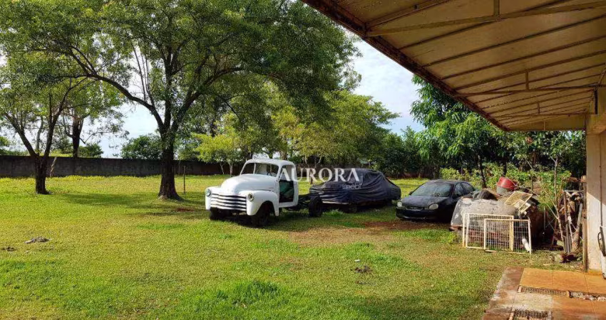 Terreno à venda, 5000 m² por r$ 1.200.000,00 - conjunto cafezal 1 - londrina/pr