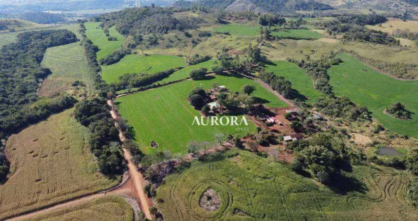 Fazenda à venda na Estrada Esmeralda, Jardim Pinheiro, Ibiporã