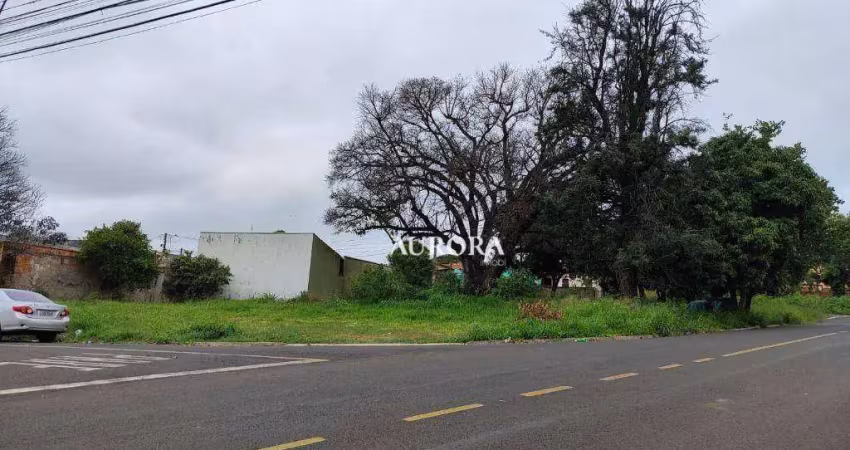 Terreno à venda, 1027 m² por r$ 890.000,00 - conjunto habitacional maria cecília serrano de oliveira - londrina/pr