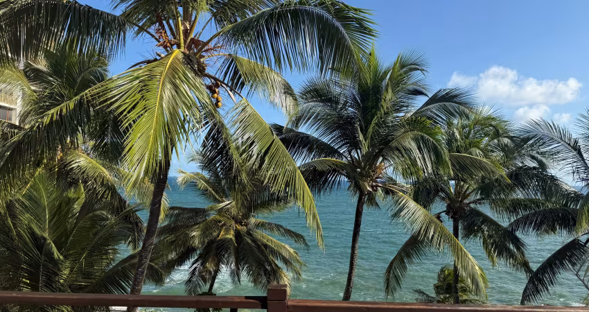 Cobertura para venda  1 suíte com vista mar – rio vermelho | salvador