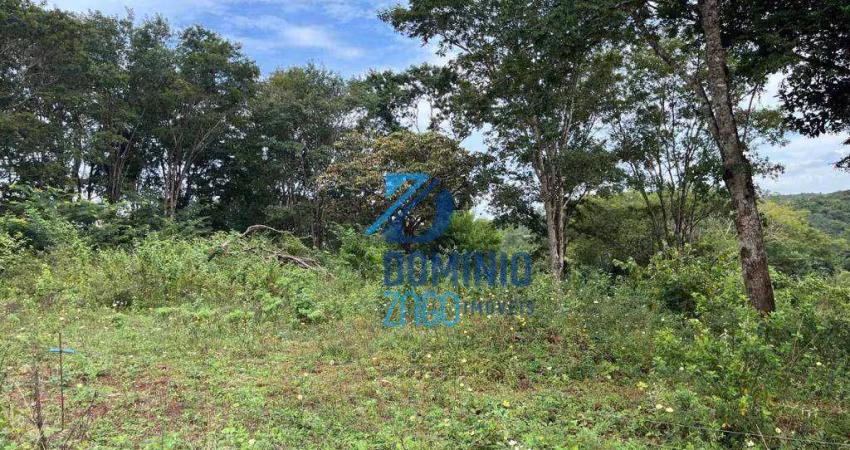 Área de 2500 metros quadrados