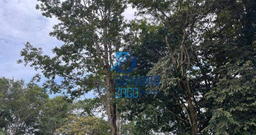 Área com 2,505,61 metros quadrados
