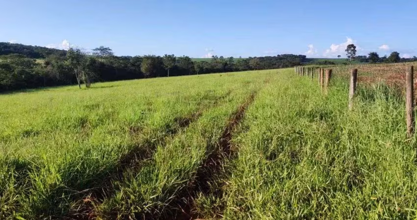 Fazenda br 262 - sentido campo florido - 13 alqueires