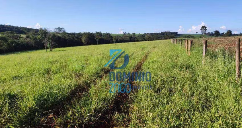 Fazenda br 262 - sentido campo florido - 13 alqueires