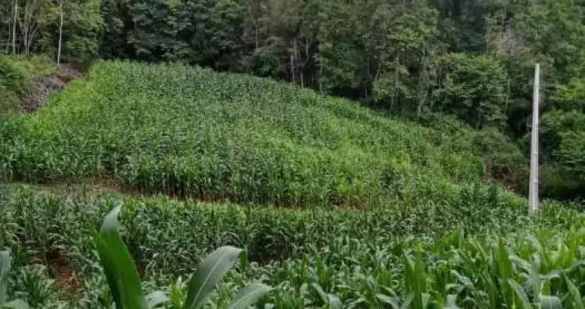 Terreno à venda na Geral do Rio Engano, 01, Rio Engano, Alfredo Wagner