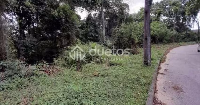 Terreno à venda, 6480 m² por R$ 1.600.000,00 - Souza Cruz - Brusque/SC