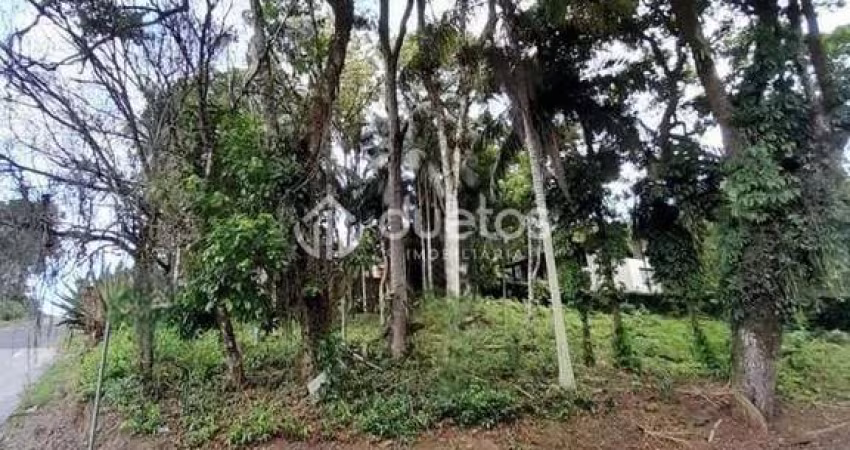Terreno à venda, 890 m² por R$ 800.000,00 - Souza Cruz - Brusque/SC