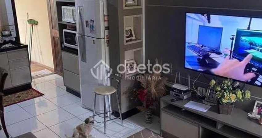 Casa no rio branco