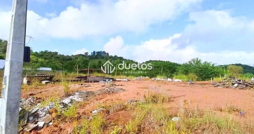 TERRENO PLANO CENTRO