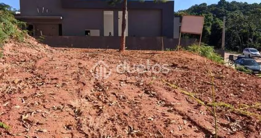 Terreno no Loteamento Tulipa em Brusque