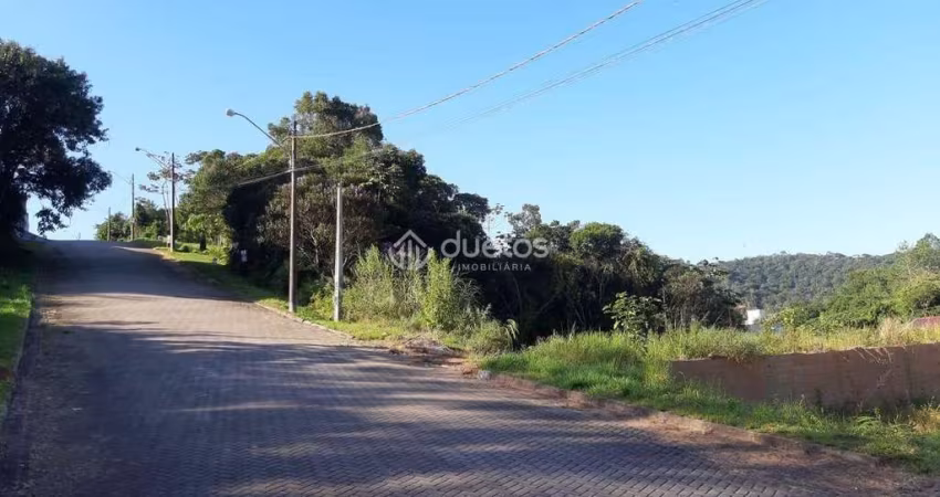 Terreno à venda, 453 m² por R$ 260.000,00 - Souza Cruz - Brusque/SC