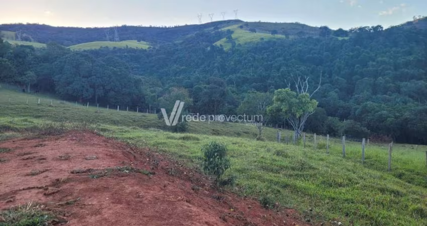 Terreno comercial à venda na Rodovia Mg 290 - Km 86 - III, s/n°, Zona Rural, Jacutinga