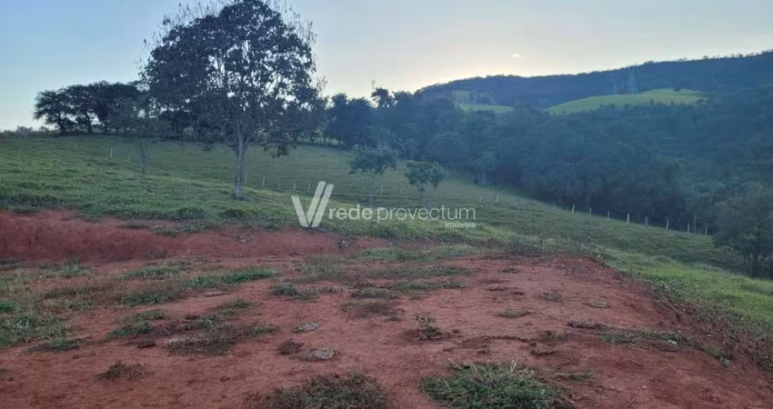 Terreno comercial à venda na Rodovia Mg 290 - Km 86 - AREA II, s/n°, Zona Rural, Jacutinga