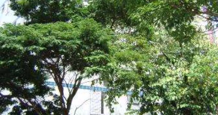 Apartamento com 3 quartos à venda em São Luiz, Belo Horizonte 