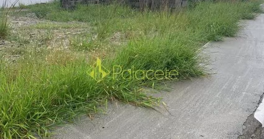 Casa à venda 2 Quartos, 1 Vaga, 91M², Conjunto Habitacional Terra dos Ipês W, Pindamonhangaba - SP