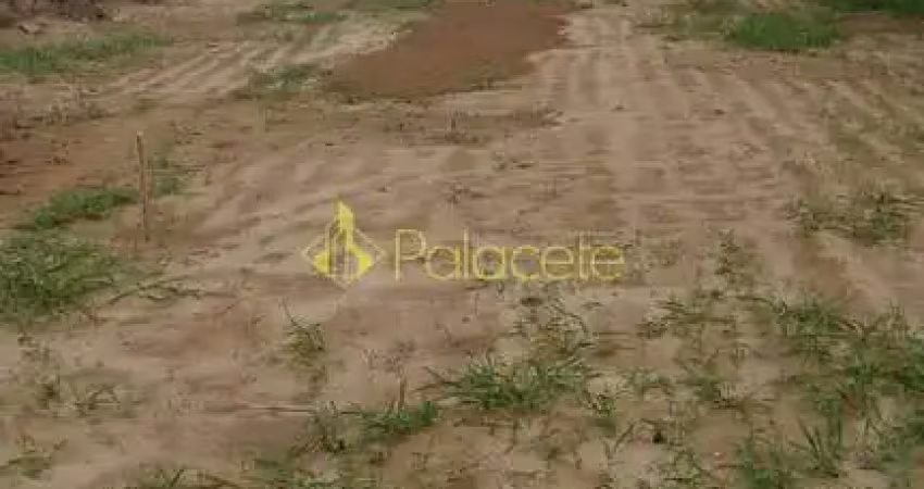 Terreno à venda na Vila Olívia, Potim 