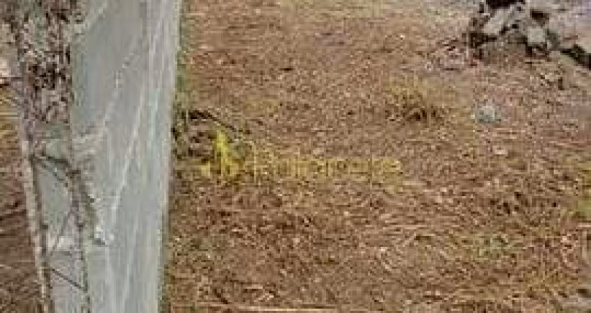 Terreno à venda Residencial e Comercial Portal dos Eucaliptos, Pindamonhangaba - SP