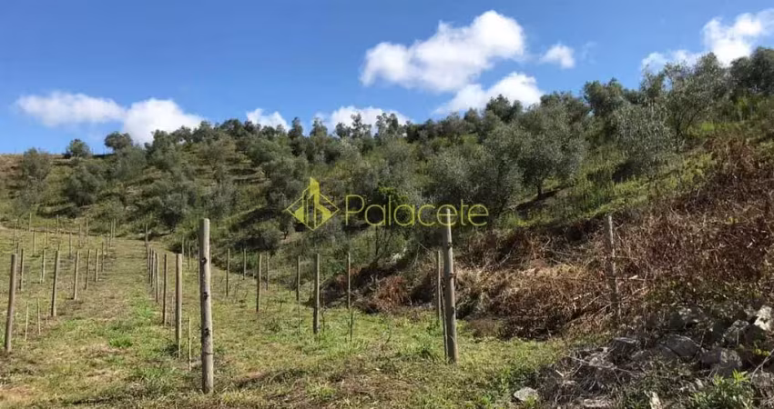 Chácara / sítio à venda no Pinhal Novo, Lorena 