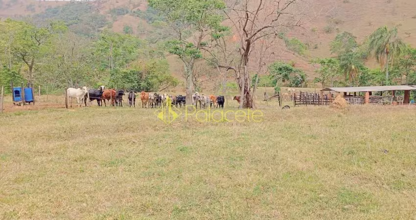 Fazenda proxima a dutra paraa venda, , roseira velha, sp