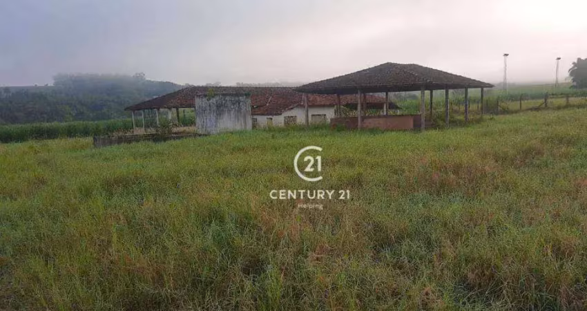 Sítio à venda, 508200 m² por r$ 4.410.000,00 - zona rural - tambaú/sp