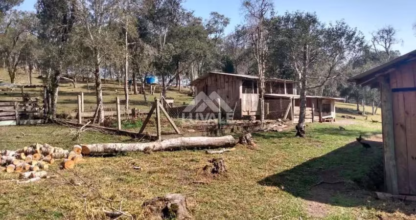 Chácara / sítio com 3 quartos à venda na Zona Rural, Rio Negrinho 