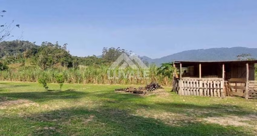 Chácara | Rio da Luz | 32.000m²