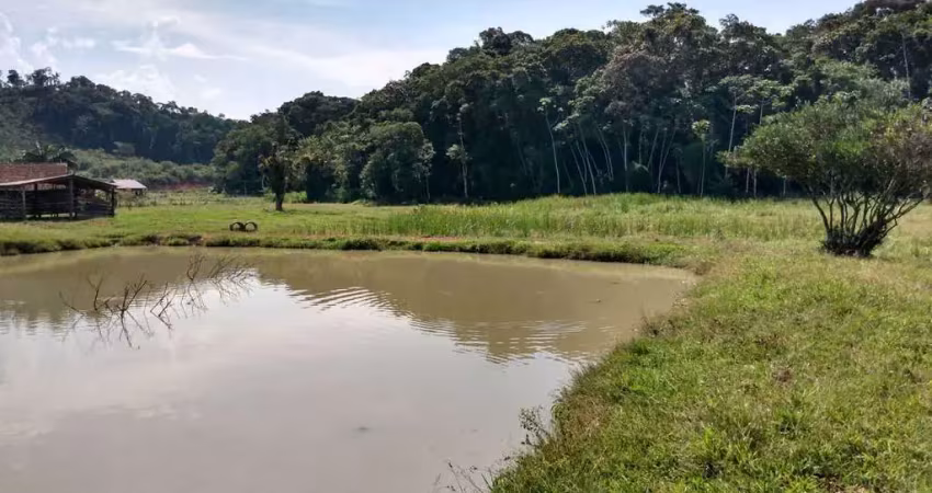 Chácara / sítio com 1 quarto à venda na Rua Francisco Greter, SN, Braço do Ribeirão Cavalo, Jaraguá do Sul