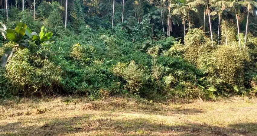 Chácara / sítio com 10 quartos à venda na Estrada Serafim Luiz Devigili, 1, Rio Branco, Guaramirim