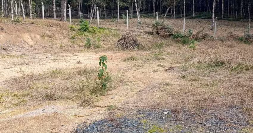 Chácara / sítio com 1 quarto à venda na Estrada Rio Negro, 1, Lençol, São Bento do Sul