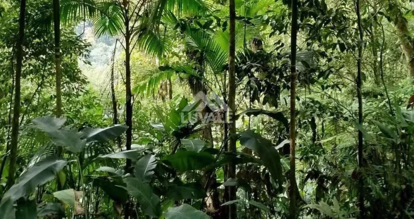 Chácara / sítio à venda no Testo Rega, Pomerode 