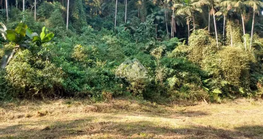 Casa com 10 quartos à venda na Estrada Serafim Luiz Devigili, 1, Rio Branco, Guaramirim