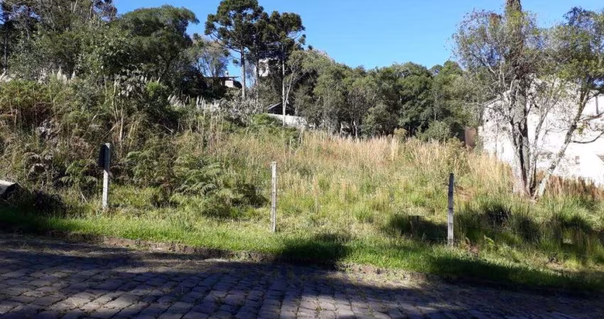 Terreno para venda  no Bairro Ana Rech em Caxias do Sul