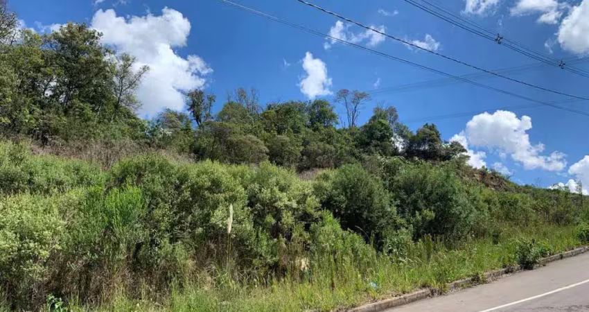 Terreno á venda no vale dos pinhais bairro são ciro