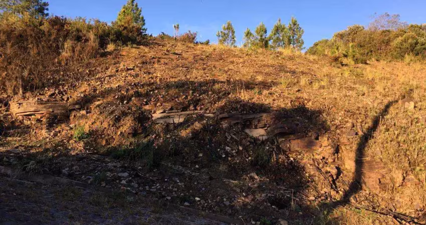Terreno para venda  no bairro ana rech em caxias do sul
